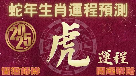 乙巳年生肖|2025年生肖運勢解析出爐！乙巳靈蛇年屬狗、屬猴好運難擋 